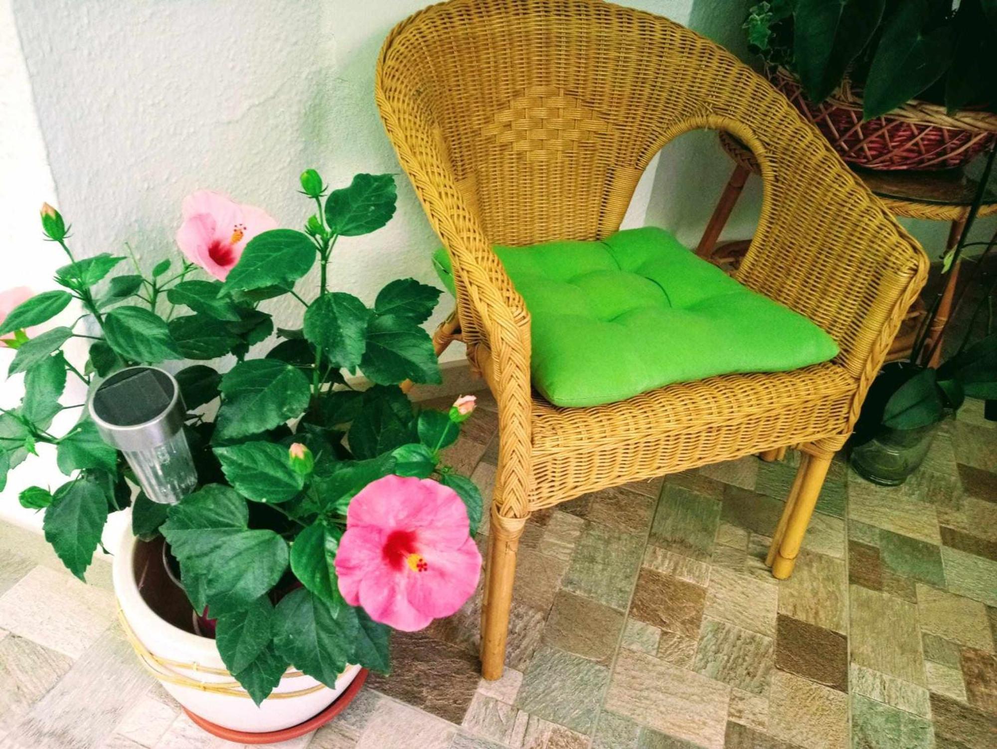 Appartement La Carihuela A 5 Minutos De La Playavistas Al Mar Torremolinos